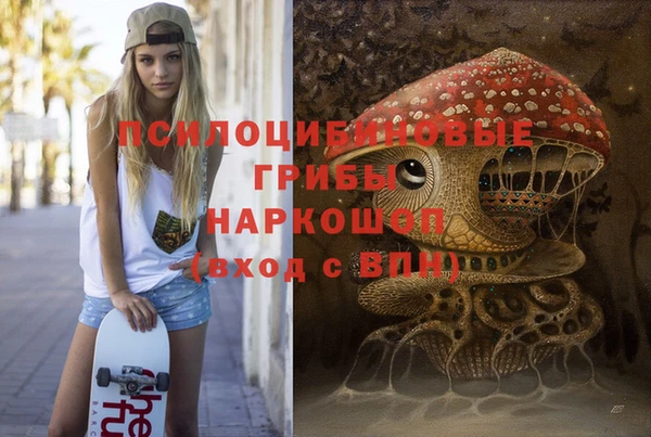 мдпв Кинешма